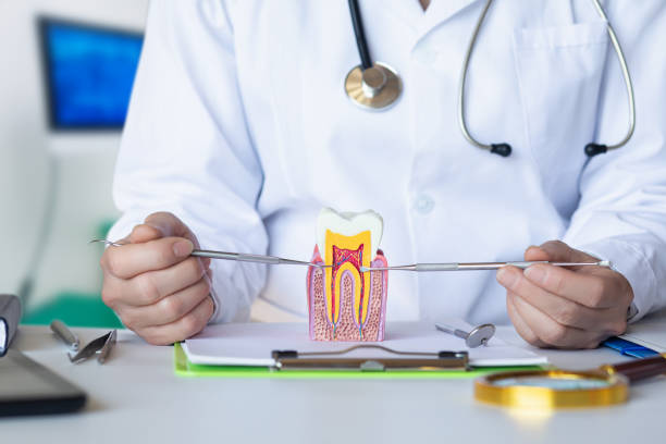 Best Emergency Dental Care for Abscessed Tooth in Big Bass Lake, PA
